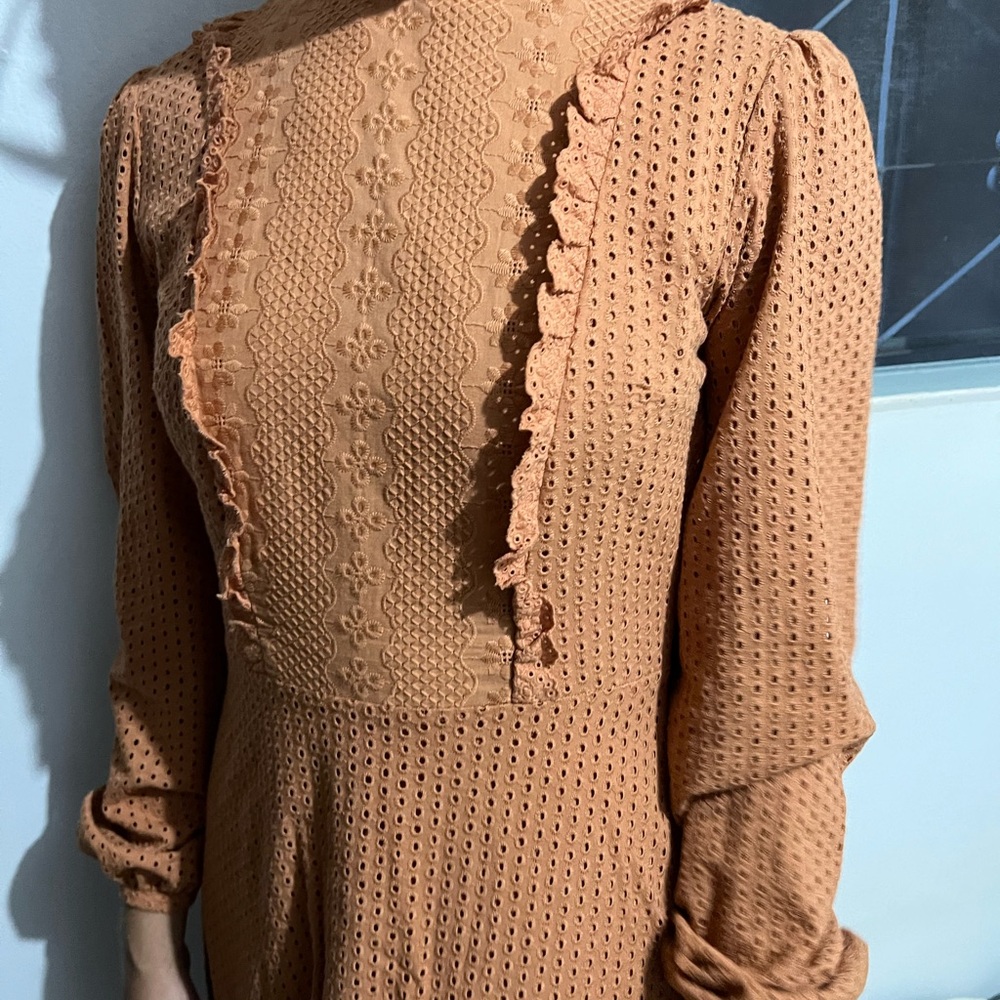 Elegant Eyelet Cotton Retro Brown Long Sleeve Dress